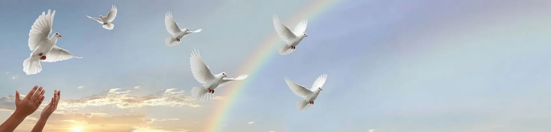 Peace and letting go after abortion.
