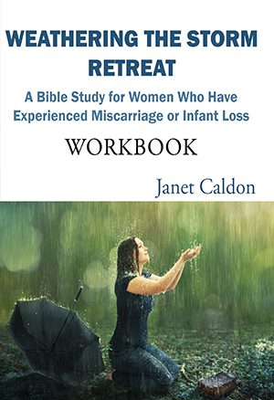 Weathering The Storm: A Bible Study for Women Who Have Experienced Miscarriage or Infant Loss Retreat